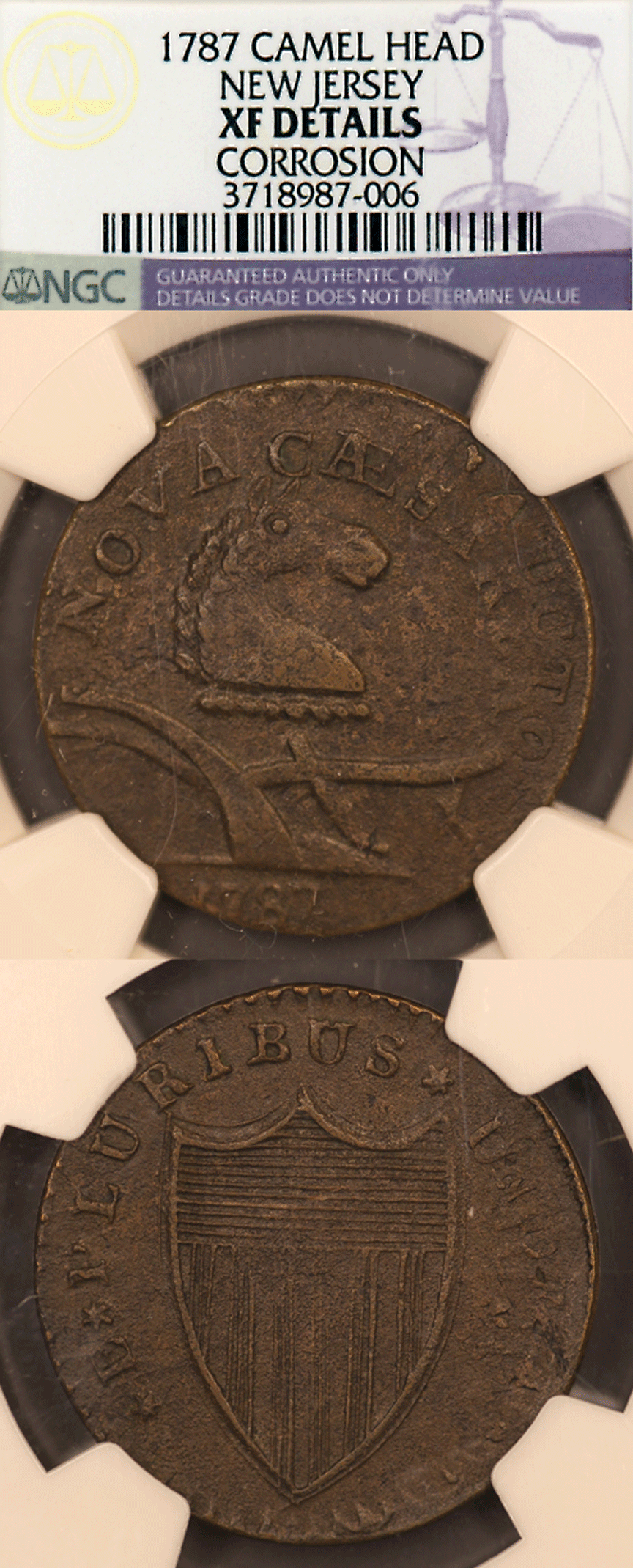 US Colonial 1787 New Jersey "Camel Head" NGC XF